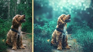 Pet Portrait Retouching Photoshop Tutorial Dog Photo Edit [upl. by Nehtanhoj306]