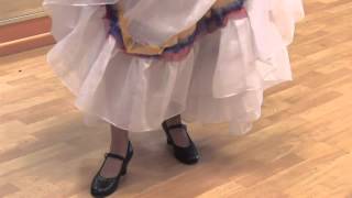 Traditional Mexican Dance Steps [upl. by Otreblide107]