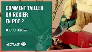 TUTO Comment tailler un rosier en pot  – Jardinerie Gamm vert [upl. by Quintilla904]