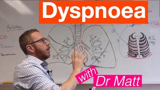 Dyspnoea  Respiratory System [upl. by Ahsekyt]