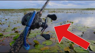 BEST Lake Okeechobee Bass Fishing TOPWATER  Gambler BIG EZ Fishing [upl. by Ecinaej]