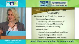 Vagus Nerve Stimulation in POTS  Andre Diedrich MD PhD [upl. by Shererd]