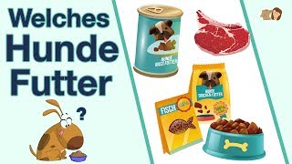 Welches Hundefutter ist das Beste  3 Futtersorten im Vergleich [upl. by Bloem]