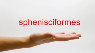 How to Pronounce sphenisciformes  American English [upl. by Amekahs315]