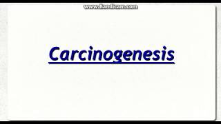 Chemical Carcinogenesis [upl. by Annhoj75]