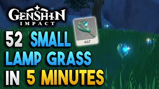 Small Lamp Grass Locations  Fast and Efficient  Ascension Materials 【Genshin Impact】 [upl. by Ainak]