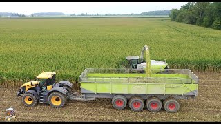 Eastside Dairy Corn Silage Harvest 2020 [upl. by Humfrid484]