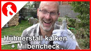 012 Hühnerstall ausmisten säubern kalken ölen und Milbenkontrolle  Jensman and the Huhns🐔 [upl. by Ayamahs715]