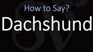 How to Pronounce Dachshund CORRECTLY Badger Dog name Pronunciation [upl. by Ori]