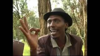 Eritrean comedy suzinino tafla and behabelom Trgum [upl. by Esinehs]