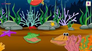 Aquatic Animals  Nursery Rhymes For Kids  Periwinkle [upl. by Pisarik]