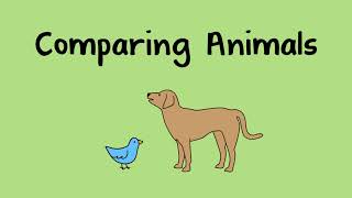 Comparing Animals [upl. by Natsyrt]