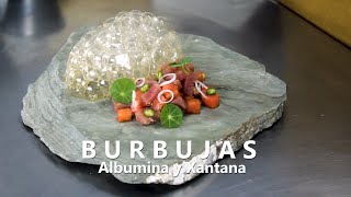 ¿COMO HACER BURBUJAS COMESTIBLES  BURNBUJAS DE PONZU CON ALBUMINA Y XANTANA [upl. by Odnumyer]