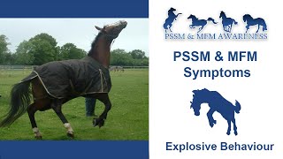 Polysaccharide Storage Myopathy PSSM Disease Explained [upl. by Bordie]