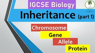 Genetics 101 Part 1 of 5 What are genes [upl. by Olsen]