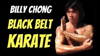 Wu Tang Collection  Black Belt Karate Subtitulado en Español [upl. by Iror]