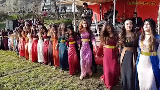 Kurdish Dance  Baile kurdo [upl. by Nitsu434]