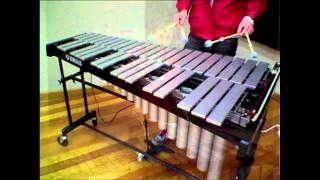 Vibraphone Techniques [upl. by Williamsen147]