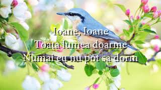 Mirabela Dauer  Ioane Ioane lyrics versuri karaoke [upl. by Oemor]