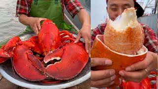 Fisherman Eat Giant Lobster Mukbang  Chinese Seafood Mukbang Show [upl. by Ynafets325]