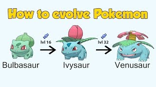 How To Evolve Pokémon  Generation 1 Kanto Animated Sprites [upl. by Engleman994]