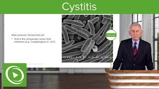 Cystitis Definition Causes and Epidemiology – Infectious Diseases  Lecturio [upl. by Ebneter]