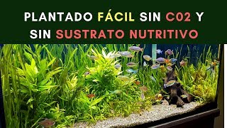 PLANTADO FÁCIL SIN CO2 NI SUSTRATO NUTRITIVO [upl. by Cowden544]