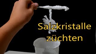 Salzkristalle zuhause selber züchten [upl. by Hurley]