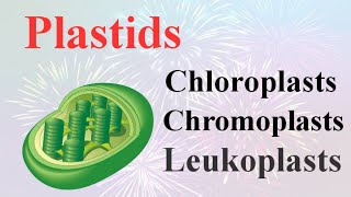 PlastidsChloroplastChromoplast and Leucoplasttheir Function in plants By Smart Learning 47 [upl. by Ardnasak]