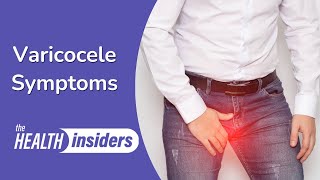 Varicocele Symptoms and Causes [upl. by Quintus]