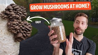 How To Get Started Growing Mushrooms At Home From EASY to HARD [upl. by Bast]