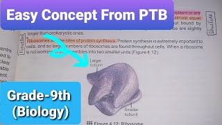 Ribosomes  Structure and Functions of Ribosomes  Class 9th  Biology  Chapter4 [upl. by Eisdnil532]