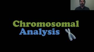 Chromosomal Analysis [upl. by Herrod]