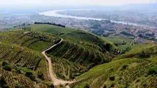 Discover The Wines of the Rhone Valley Part 1 of 3 [upl. by Azeel]