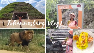 Things To Do In Johannesburg South Africa  Lion Park amp Safari Tour  South African YouTuber [upl. by Jeroma]