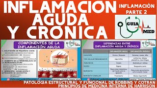 INFLAMACIÓN AGUDA Y CRÓNICA PATOLOGÍA ROBBINS  GuiaMed [upl. by Okram176]