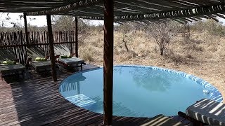 5 Safari Camps to Visit in South Africa [upl. by Limber]