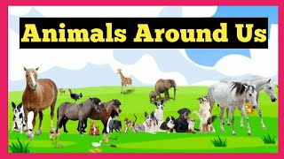 Animals Around Us  Different Types of Animals  ICSE  CBSE  Grade 1 [upl. by Airdnalahs]