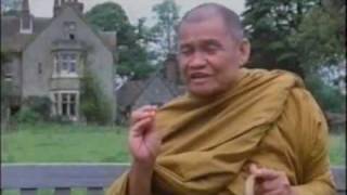 Compilation of Ajahn Chahs Teaching หลวงปู่ชา Ajahn Chah Theravada Buddhism [upl. by Elodia]