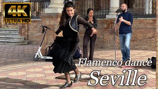 FLAMENCO dance in SEVILLE 💃 🇪🇸 Plaza de España 🇪🇸💃 [upl. by Leind731]