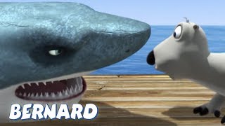 Bernard Bear  Fishing AND MORE  30 min Compilation  Cartoons for Children [upl. by Barbabas]