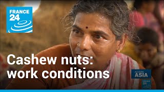 Cashew nuts Painful working conditions behind popular snack  Access Asia • FRANCE 24 English [upl. by Llerret]