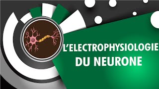 Electrophysiologie Du Neurone  INSEN Academy [upl. by Megargee207]