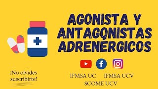 AGONISTAS Y ANTAGONISTAS ADRENÉRGICOS [upl. by Naginnarb]