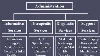 Hospital Organizational Structure [upl. by Olotrab552]