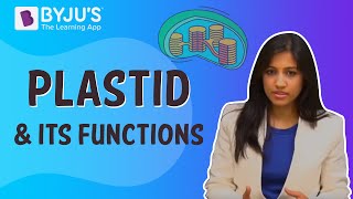 Plastid and its Functions [upl. by Ancell]