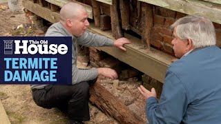 How to Prevent Termite Damage  This Old House [upl. by Lillis]