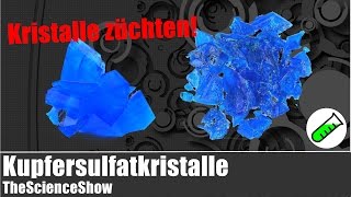 Kupfersulfatkristalle züchten  TheScienceShow [upl. by Ettenwahs]