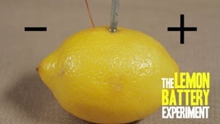 How to Make a Lemon Battery [upl. by Patrica218]