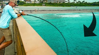 BATTLING PIER GIANTS Juno Pier Fishing [upl. by Whittaker]